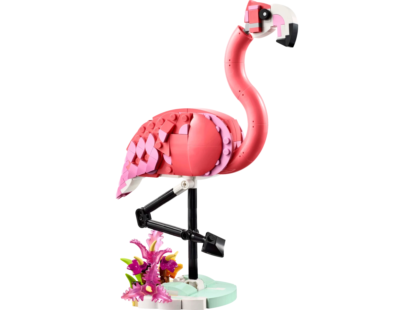 Wilde dieren: roze flamingo