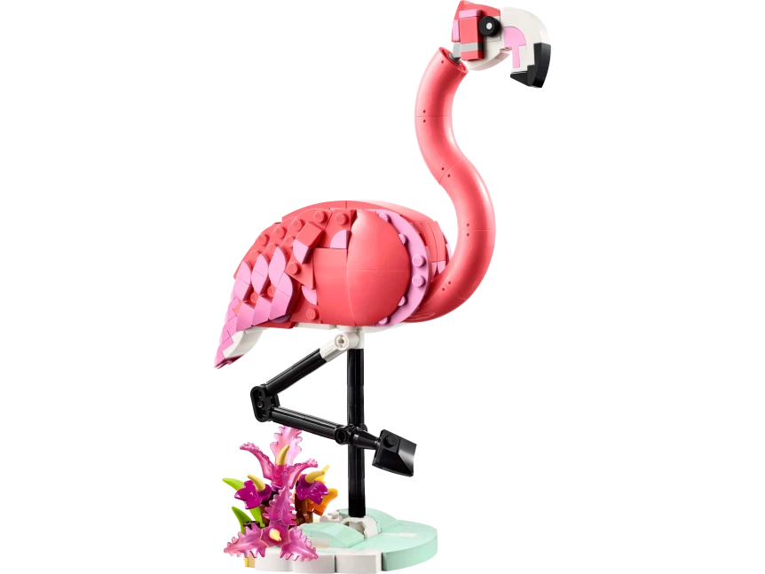 Wilde dieren: roze flamingo