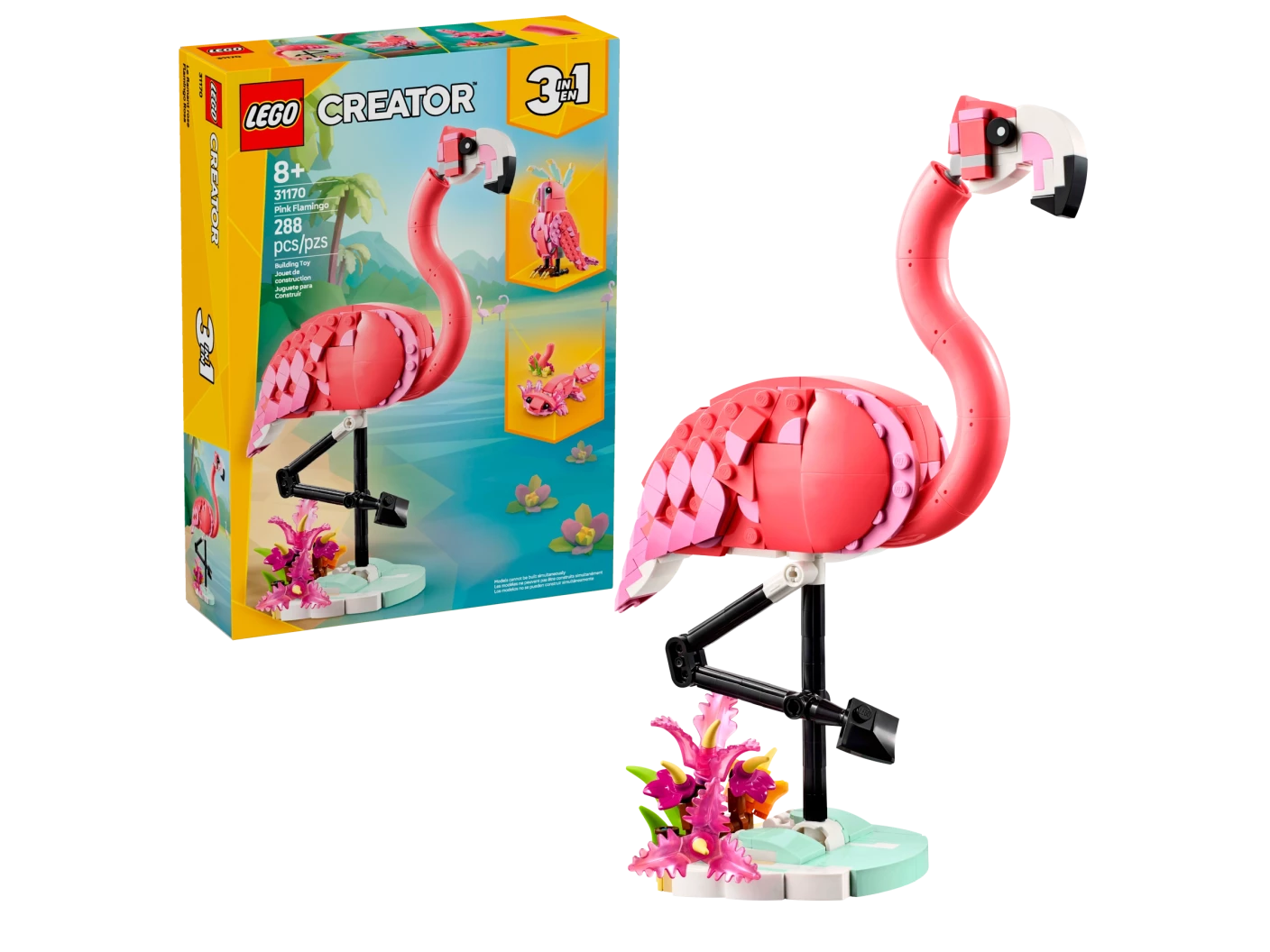 Wilde dieren: roze flamingo