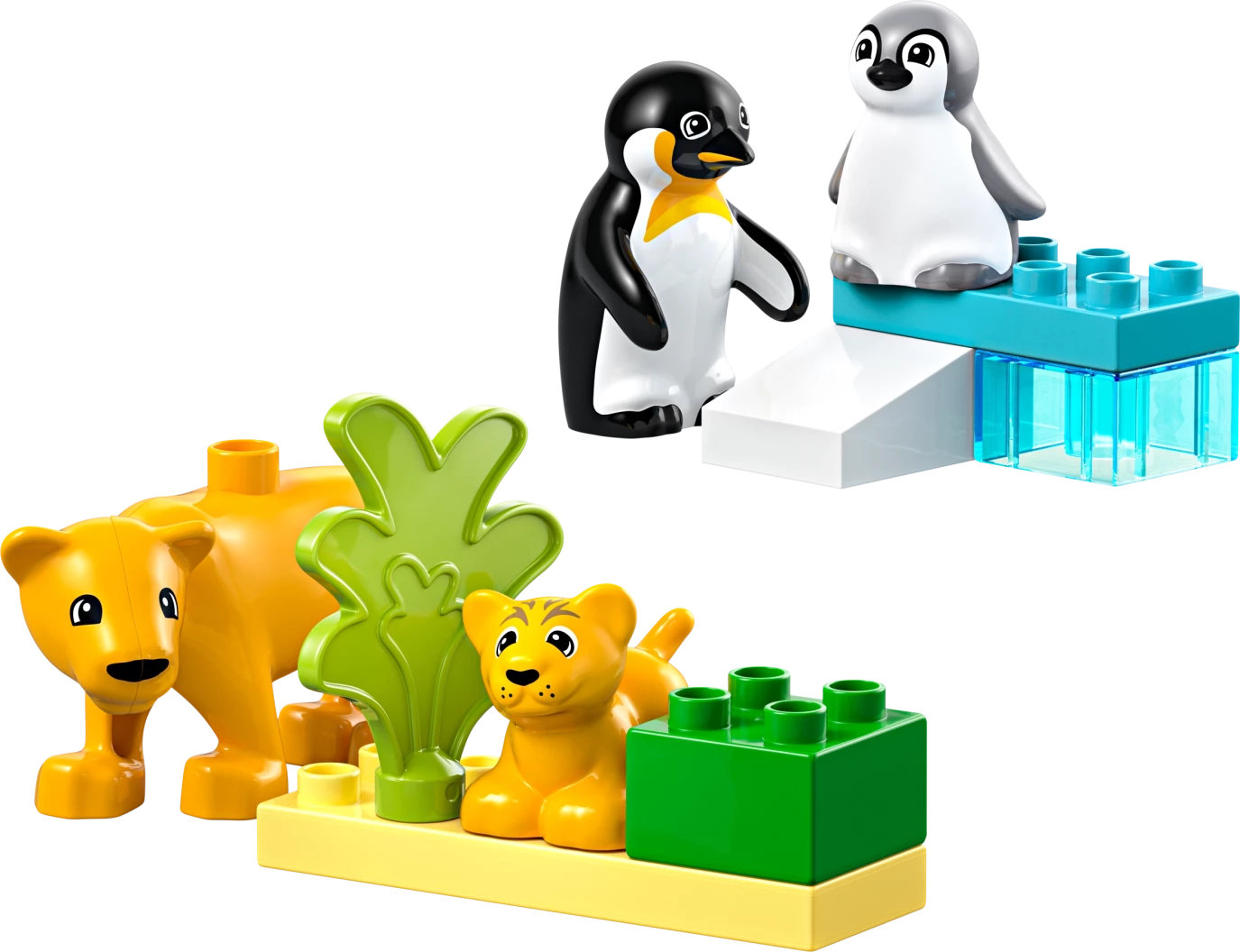 Families van wilde dieren: pinguïns en leeuwen