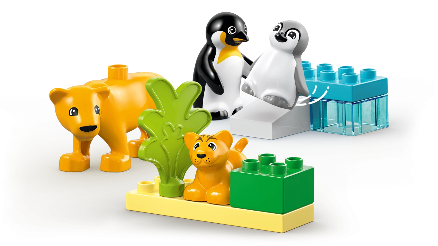 Families van wilde dieren: pinguïns en leeuwen