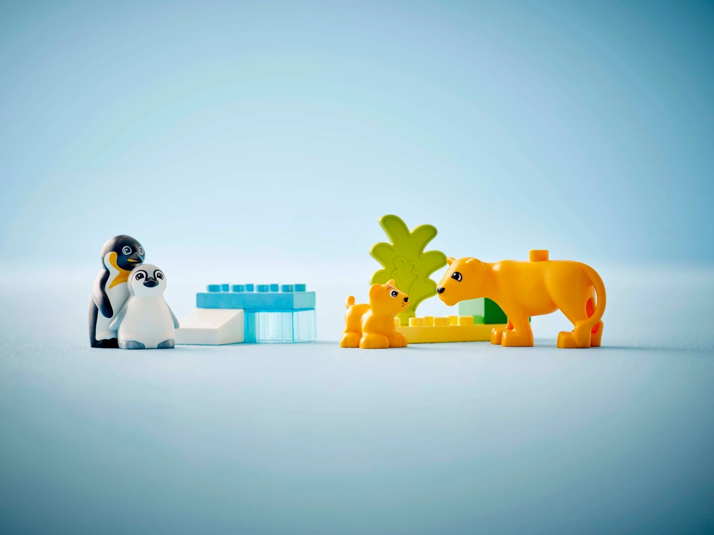 Families van wilde dieren: pinguïns en leeuwen