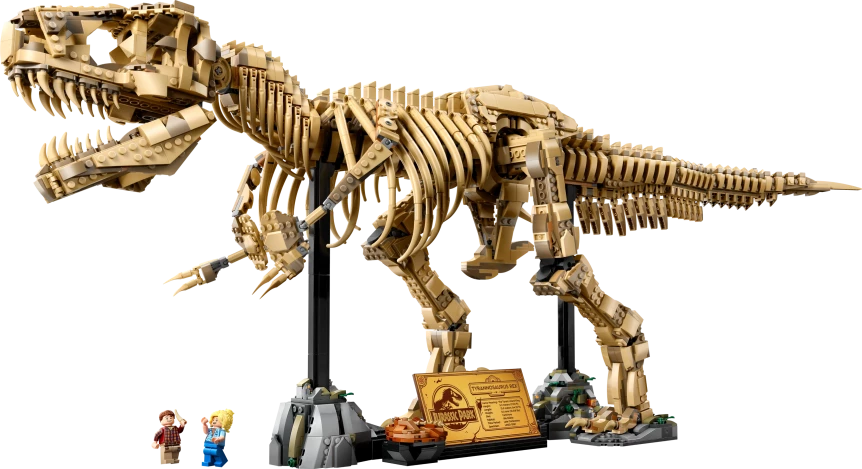 Dinosaurusfossielen: Tyrannosaurus rex