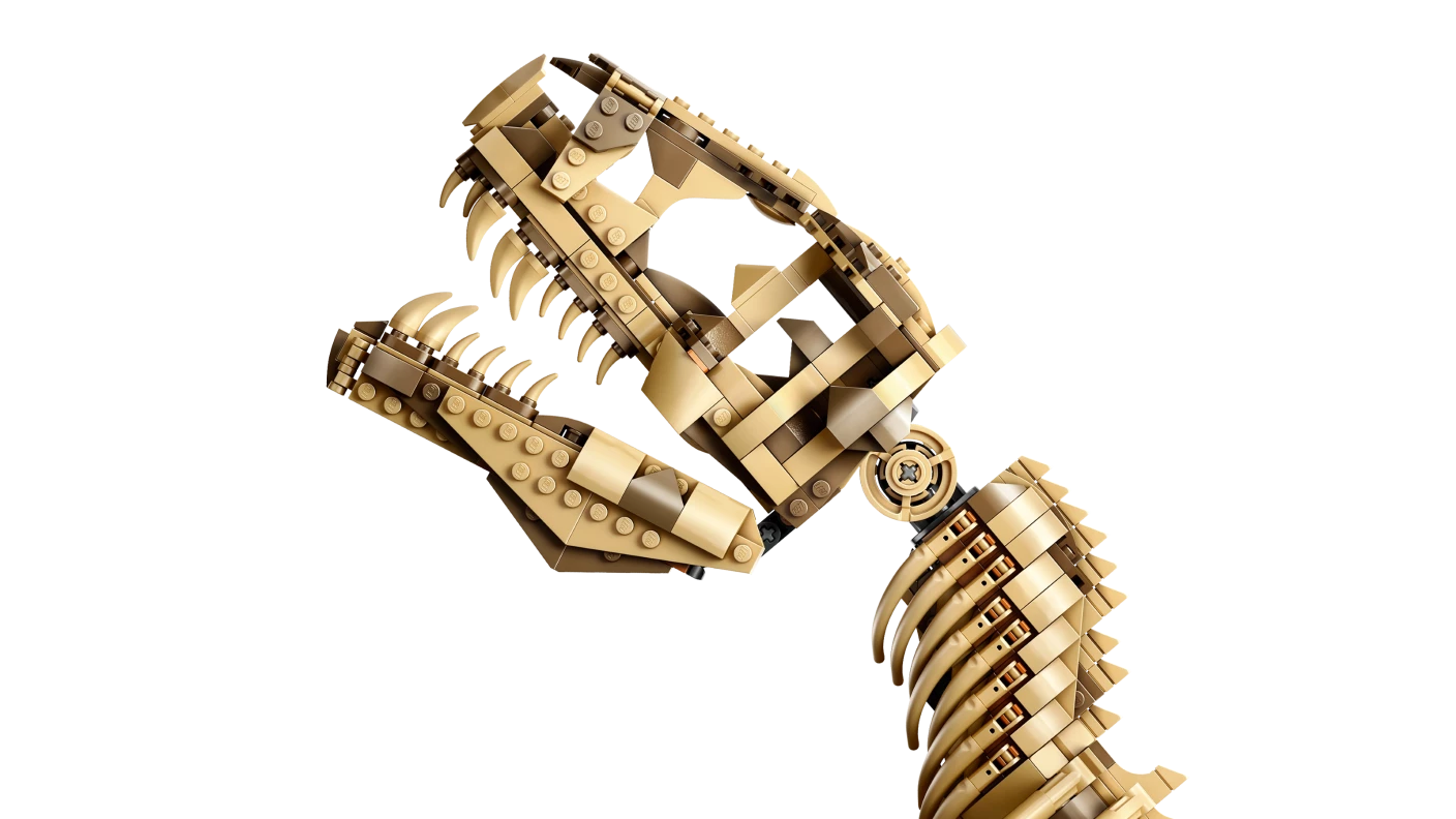 Dinosaurusfossielen: Tyrannosaurus rex