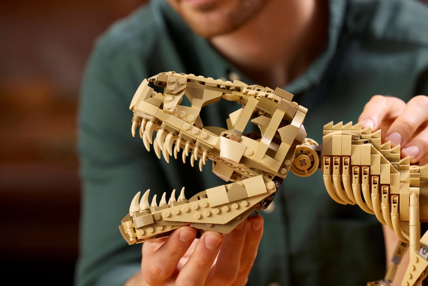 Dinosaurusfossielen: Tyrannosaurus rex