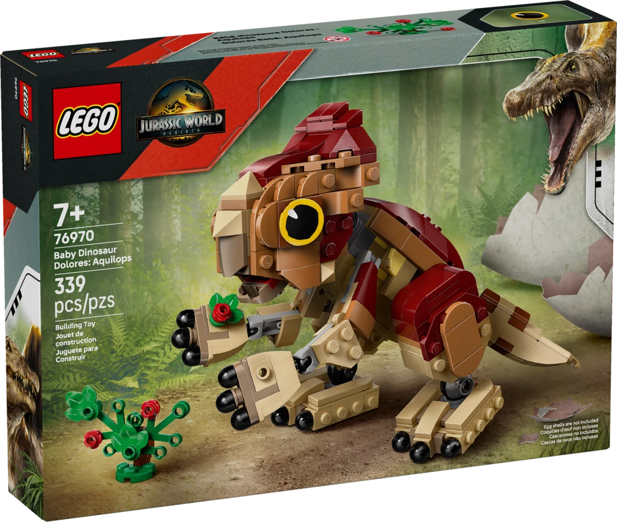 Babydinosaurus Dolores: Aquilops