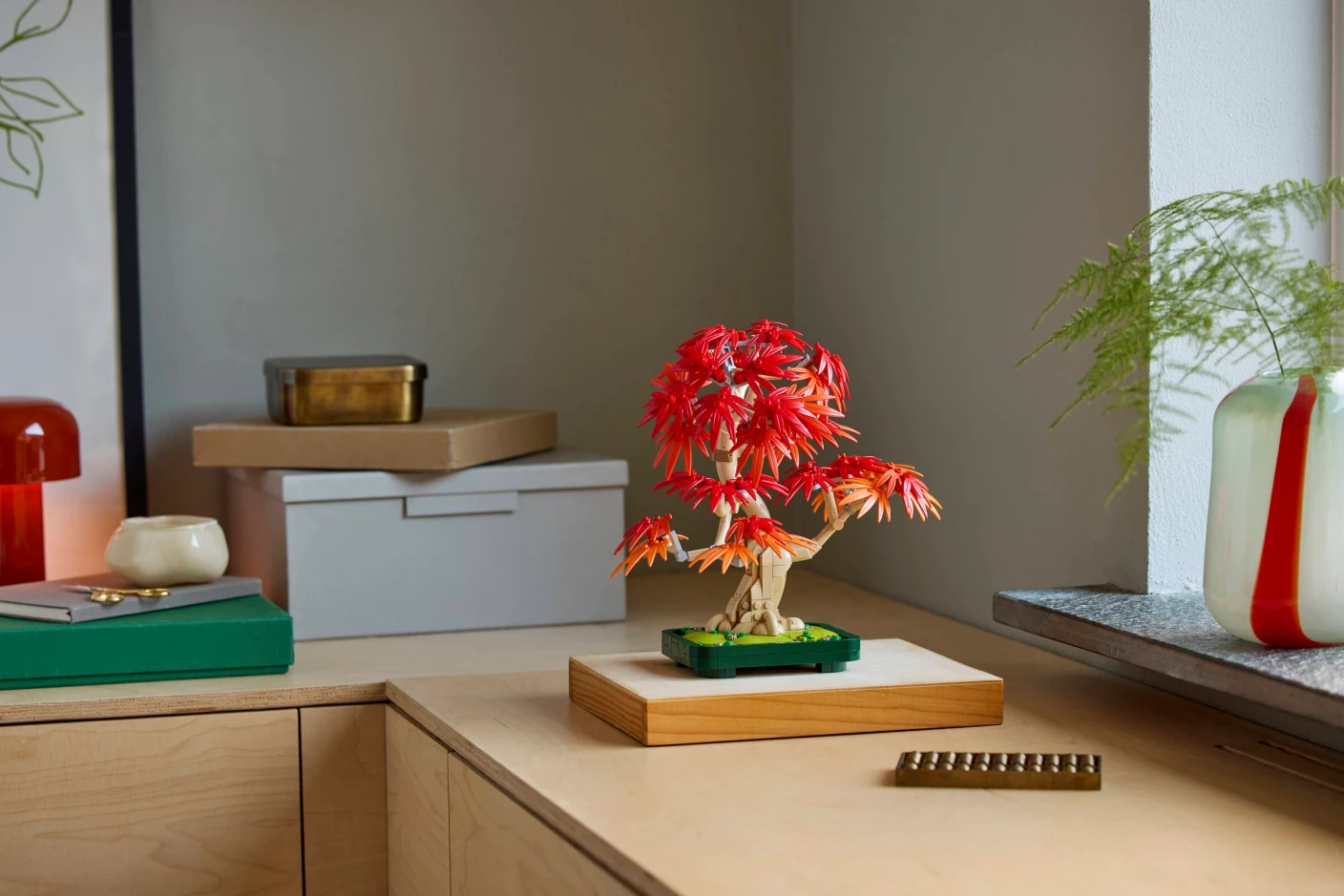 Japanse esdoorn bonsaiboompje
