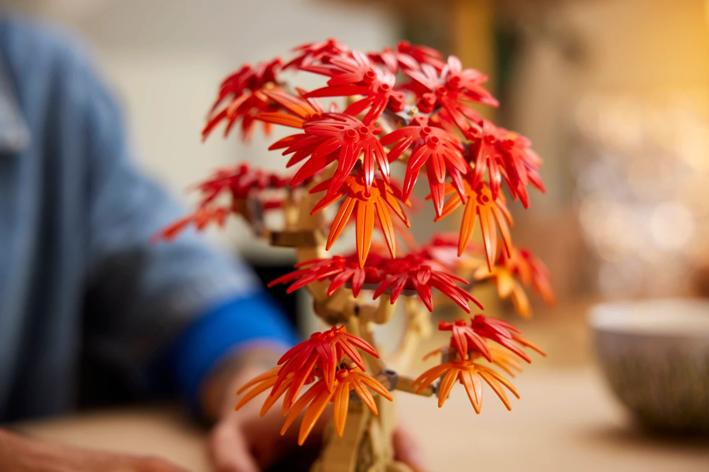 Japanse esdoorn bonsaiboompje