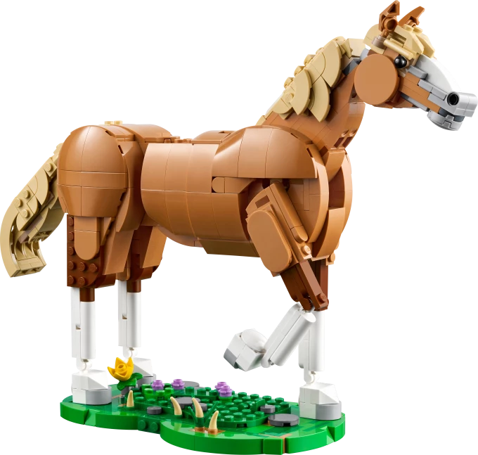 Prachtig paard