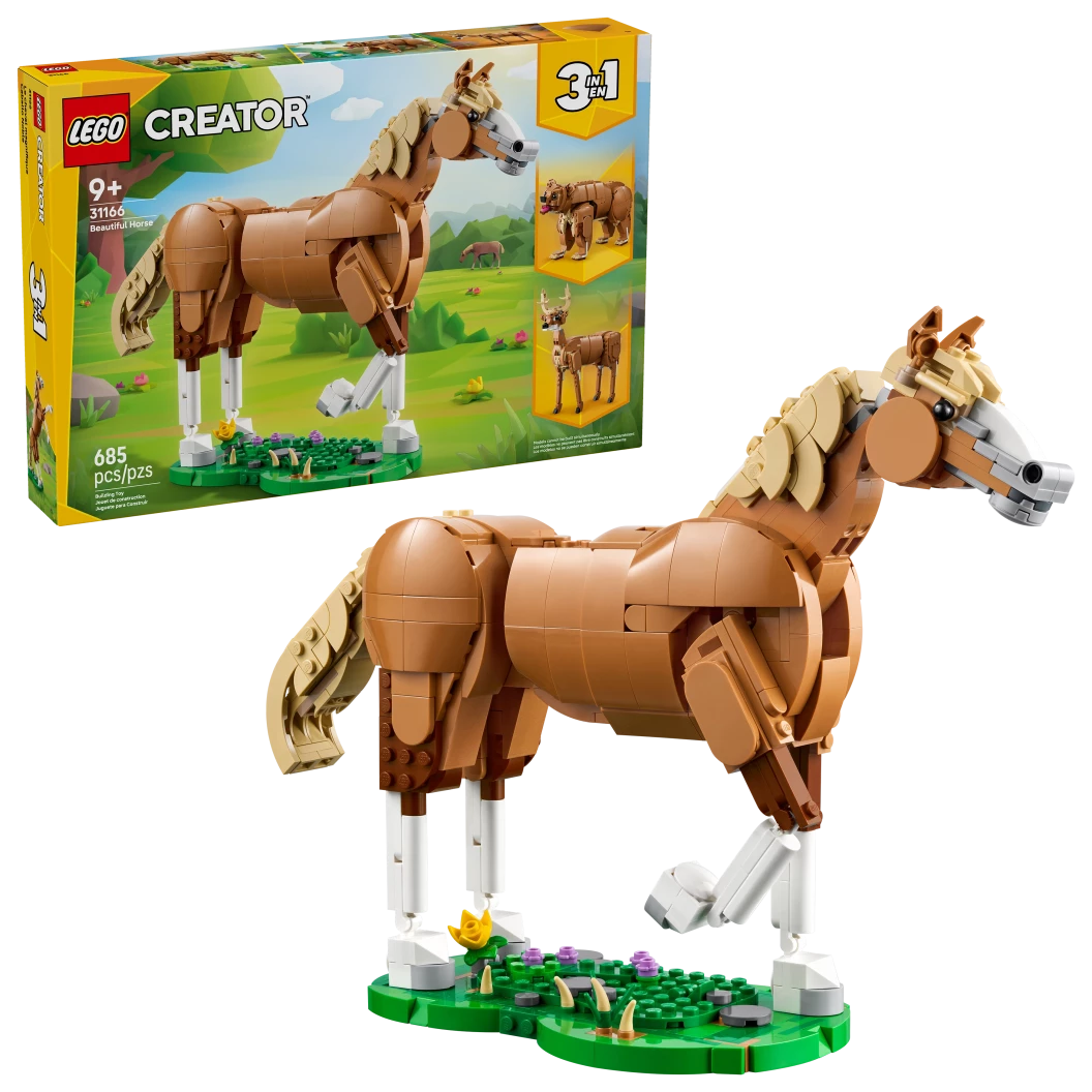 Prachtig paard