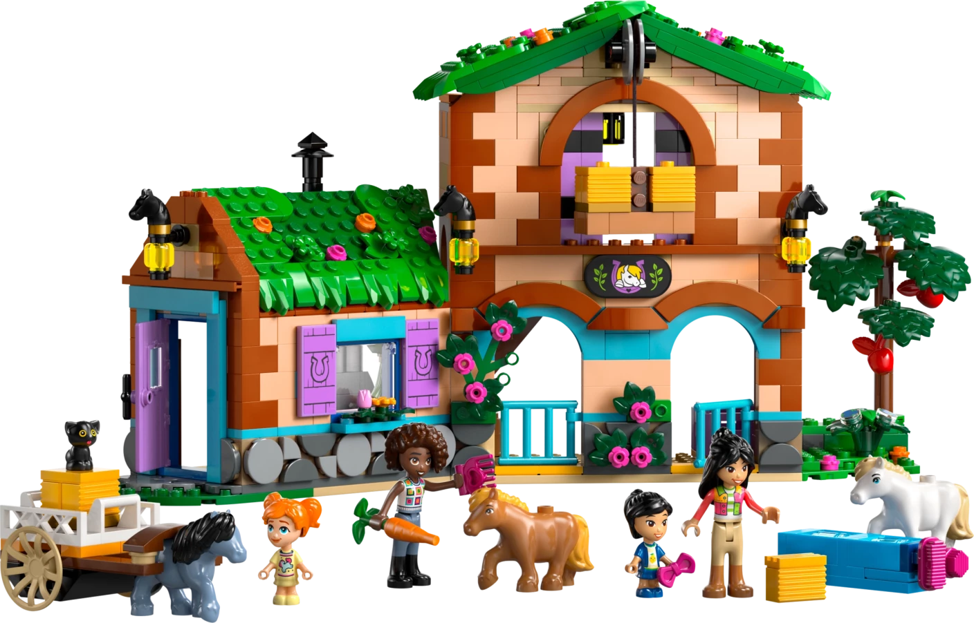 Ponyboerderij en stal