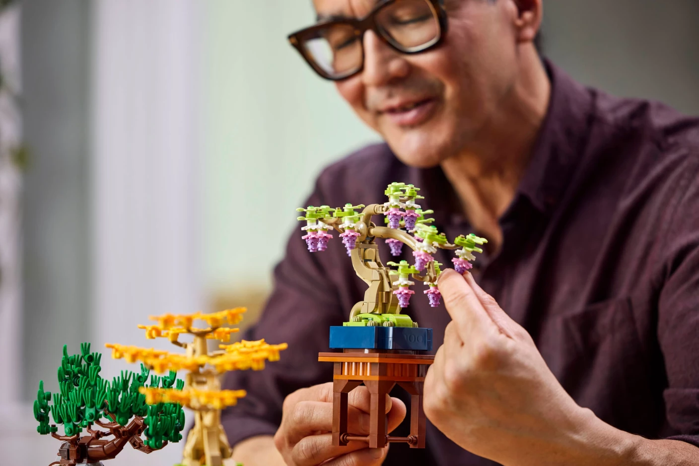 Mini bonsaiboompjes
