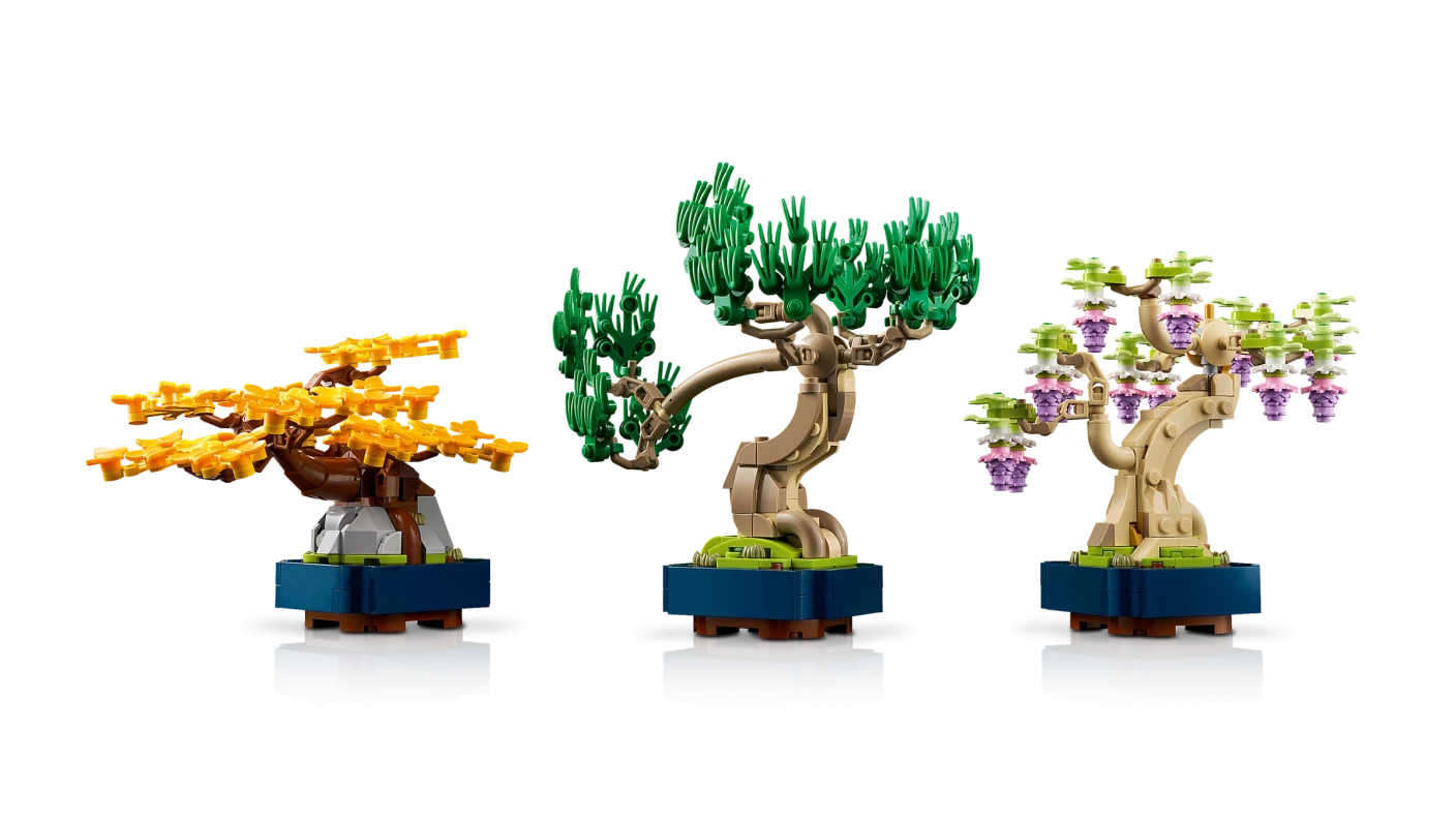 Mini bonsaiboompjes