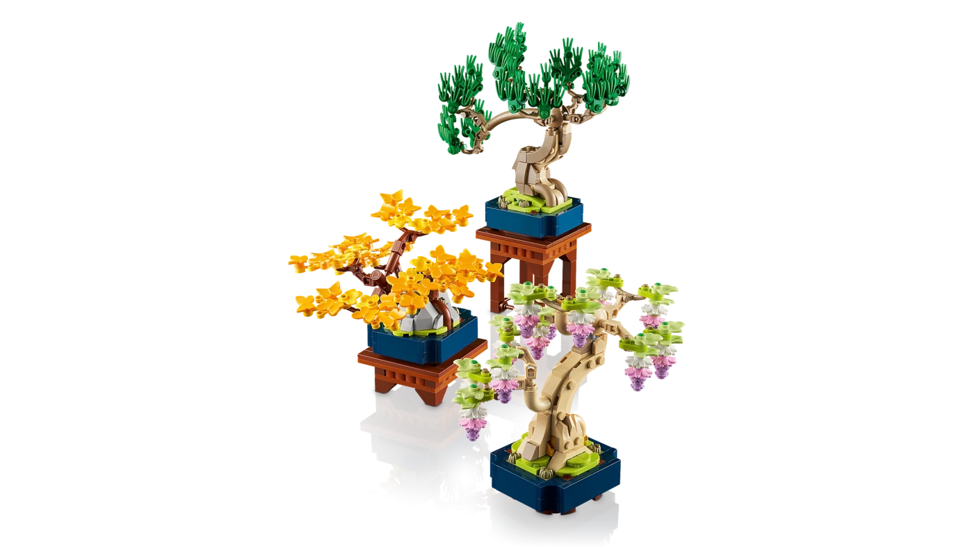 Mini bonsaiboompjes