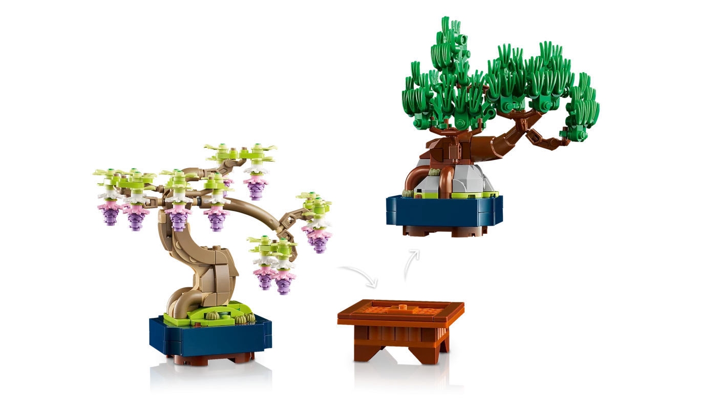 Mini bonsaiboompjes