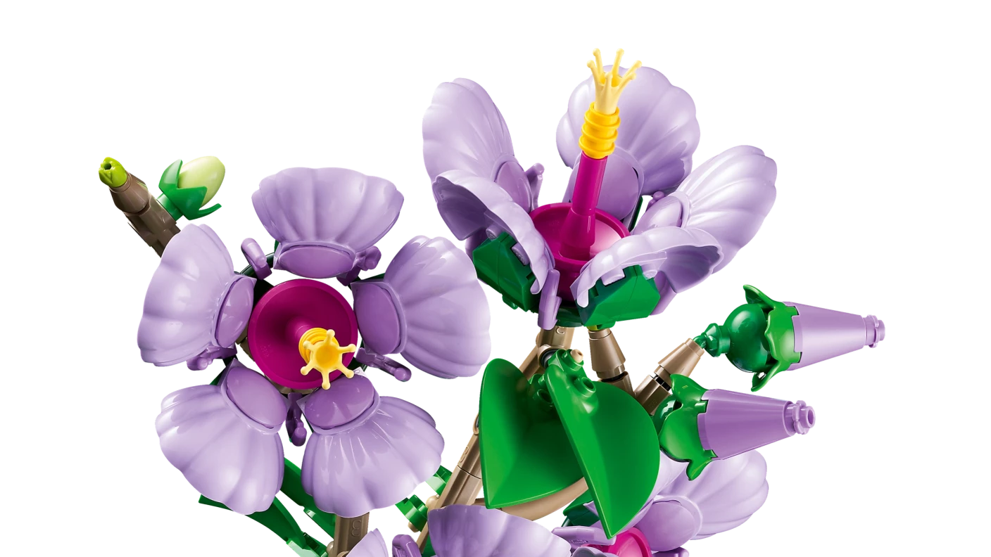 Hibiscus