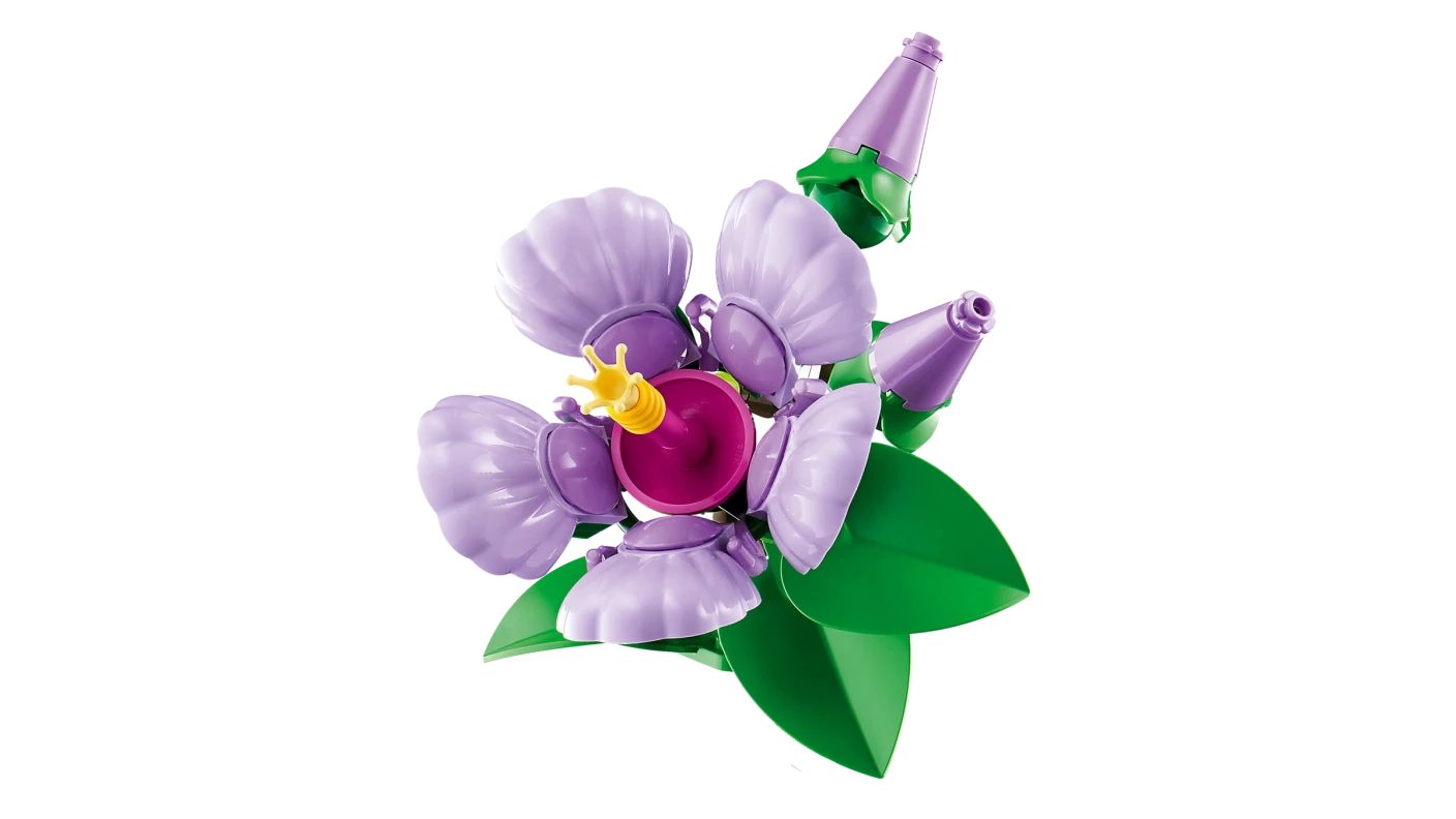 Hibiscus