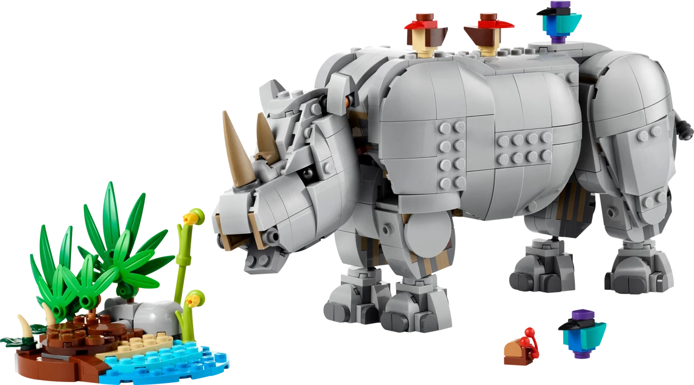 Wilde dieren: machtige neushoorn met vogels
