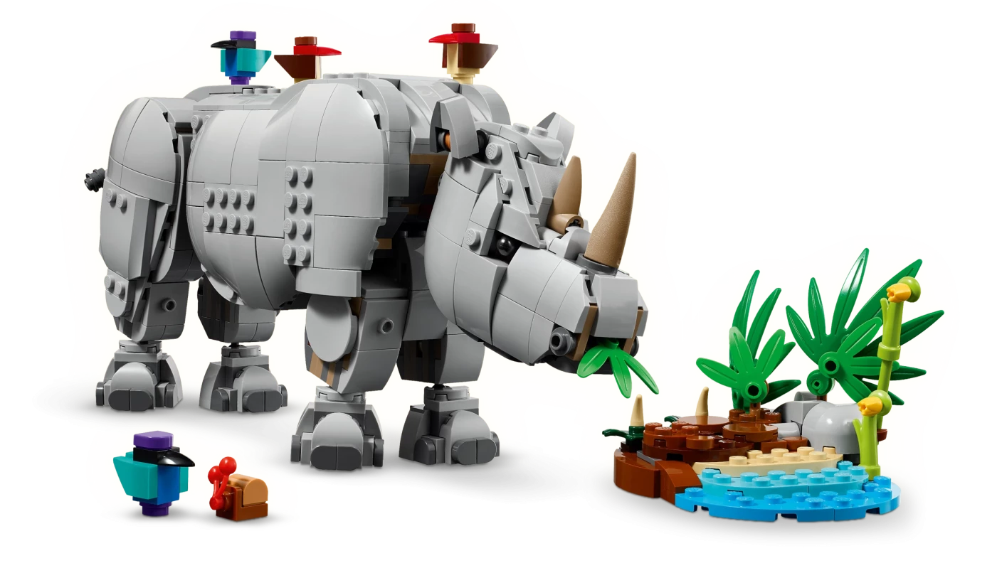 Wilde dieren: machtige neushoorn met vogels