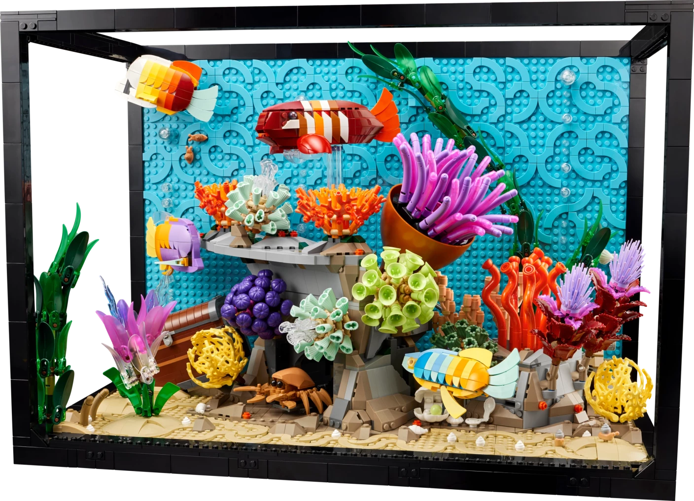 Tropisch aquarium