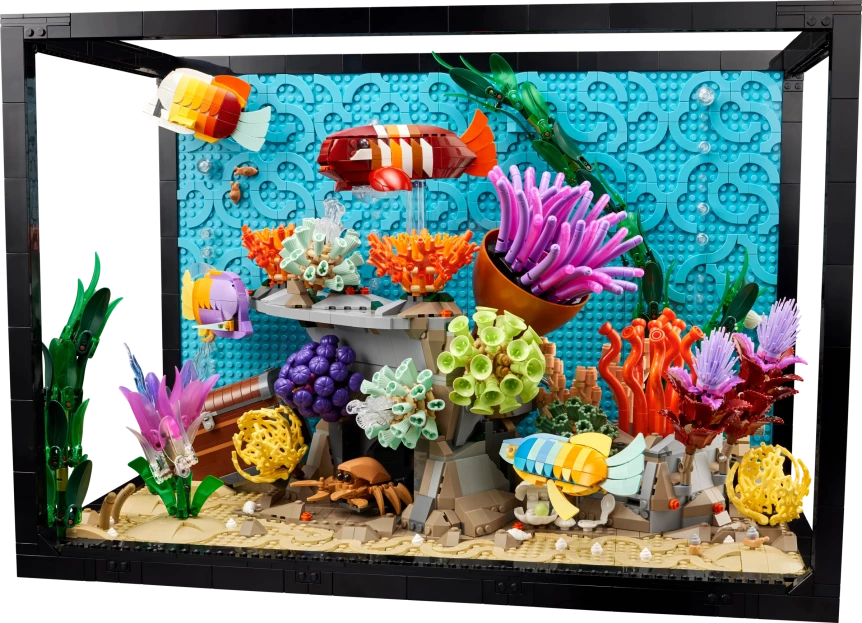 Tropisch aquarium
