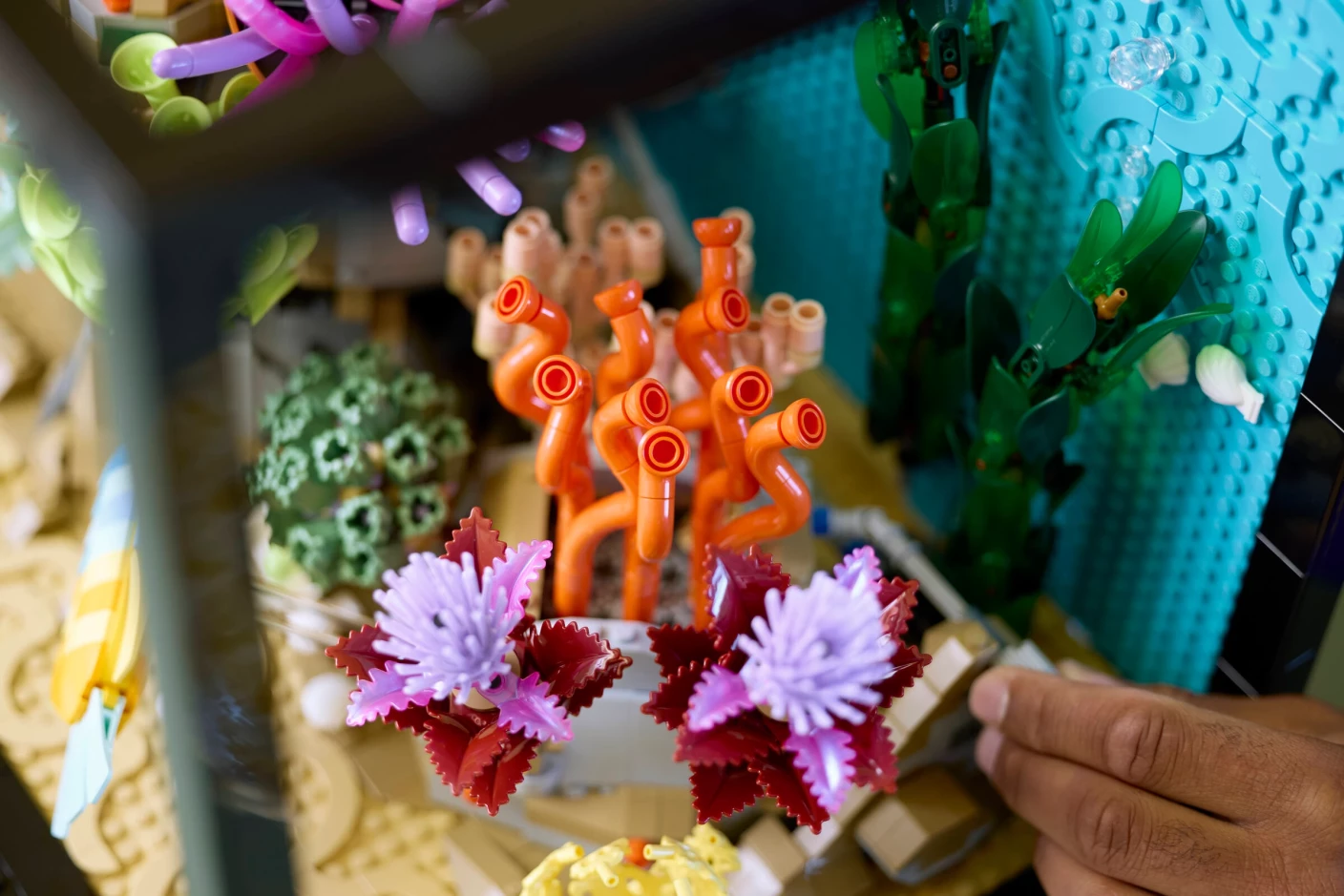 Tropisch aquarium