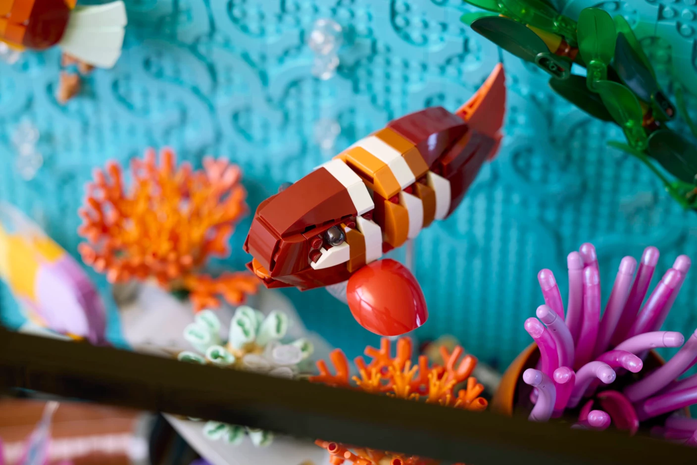 Tropisch aquarium