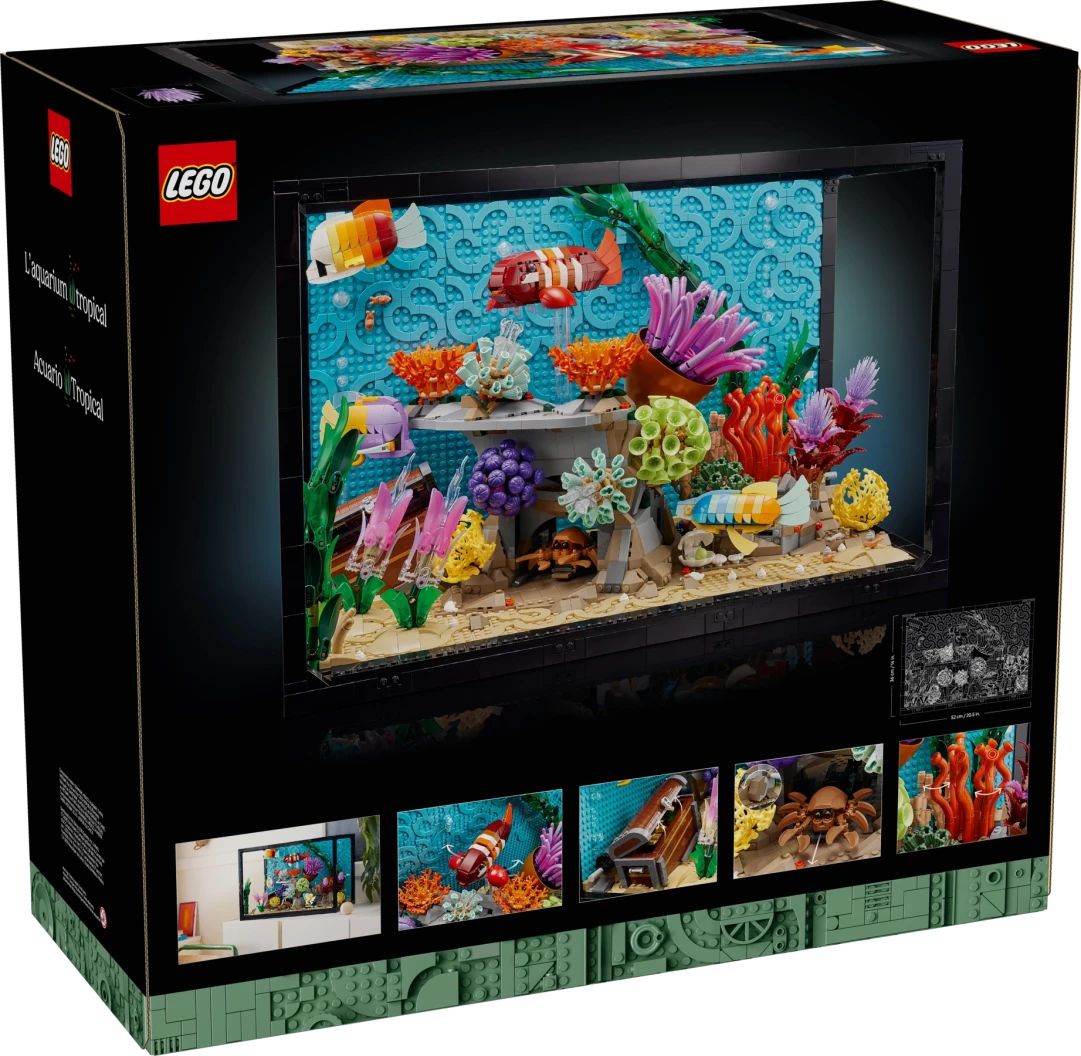 Tropisch aquarium
