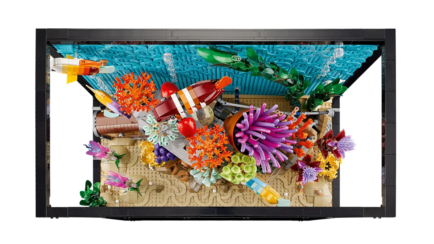 Tropisch aquarium