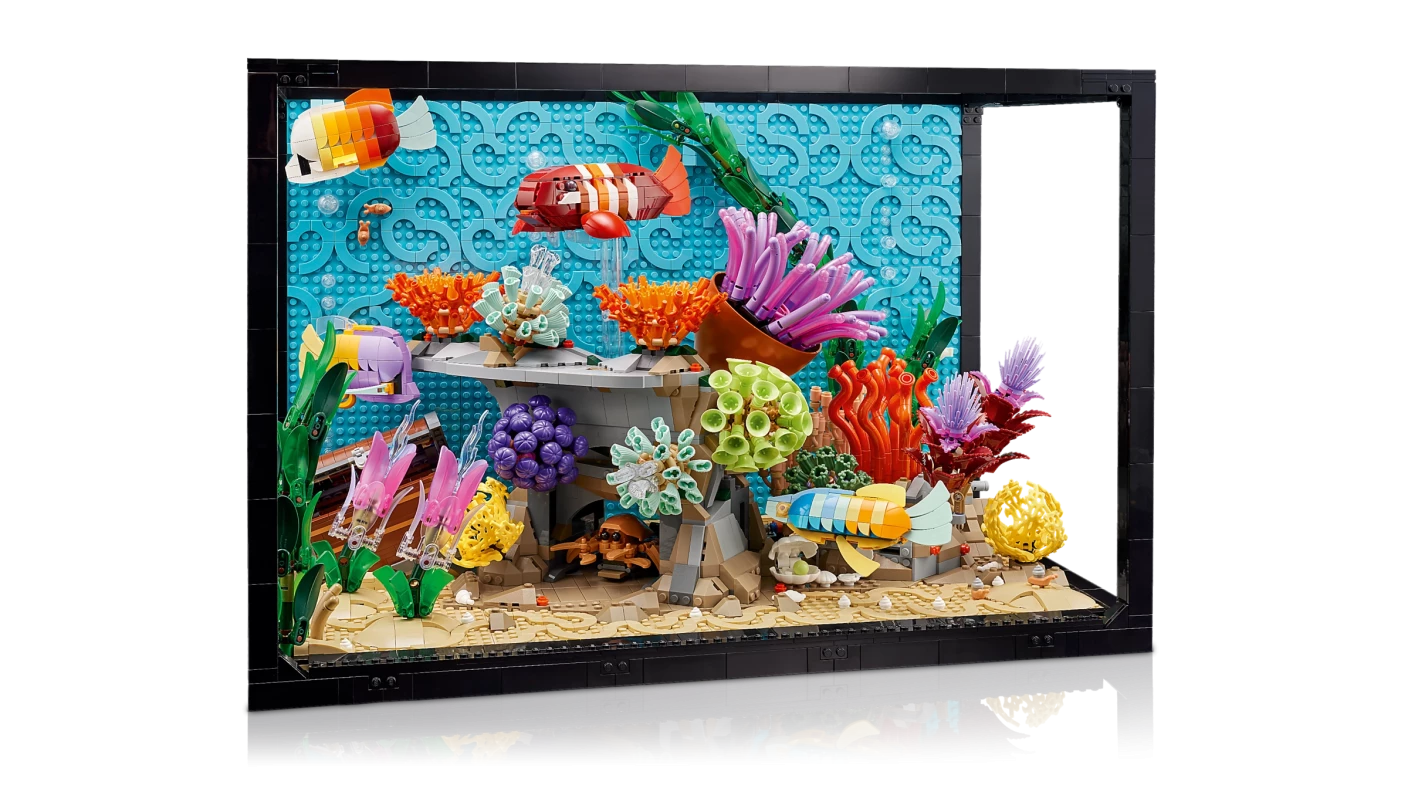 Tropisch aquarium