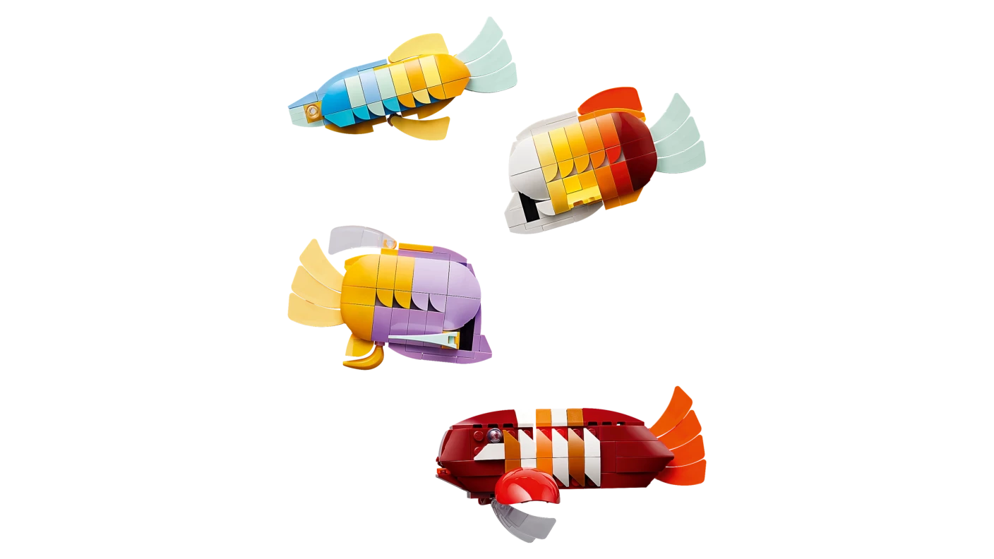 Tropisch aquarium