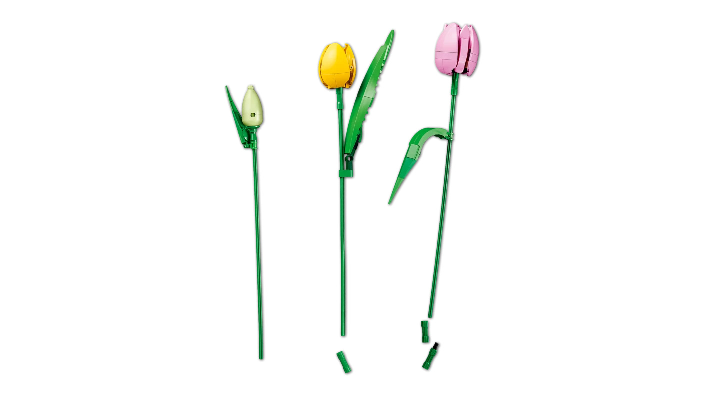 Boeket met tulpen