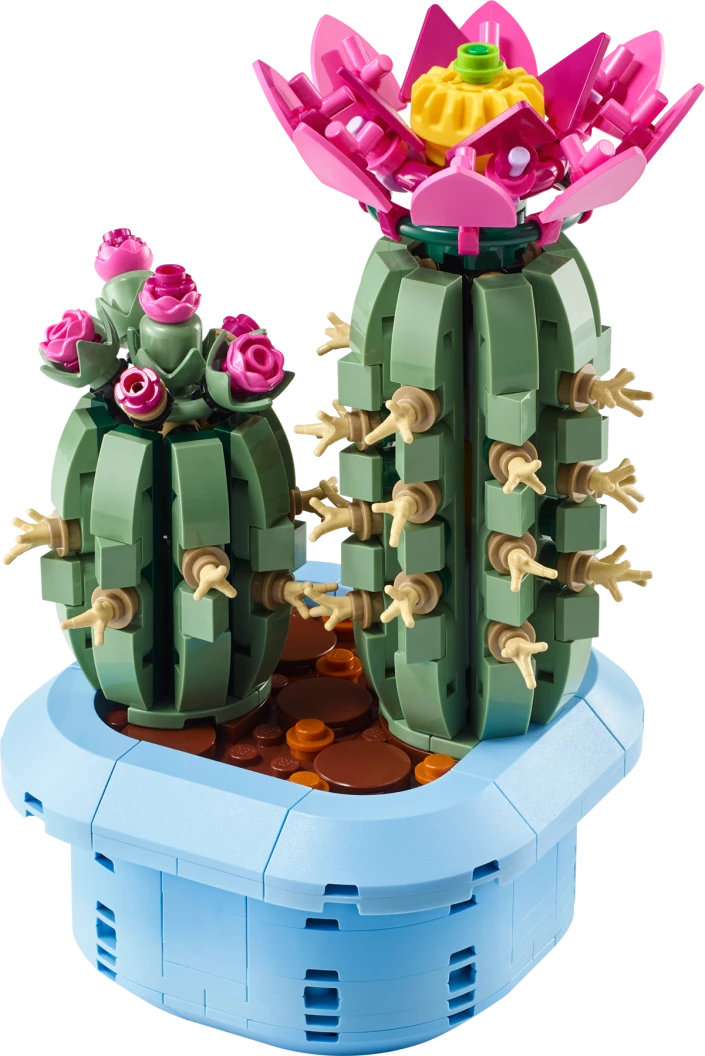 Bloeiende cactus