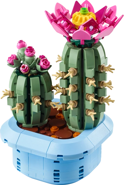 Bloeiende cactus