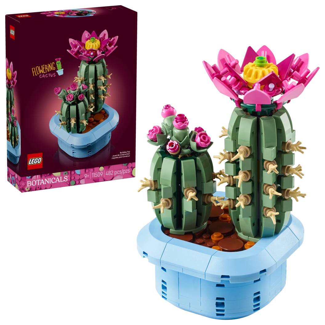Bloeiende cactus