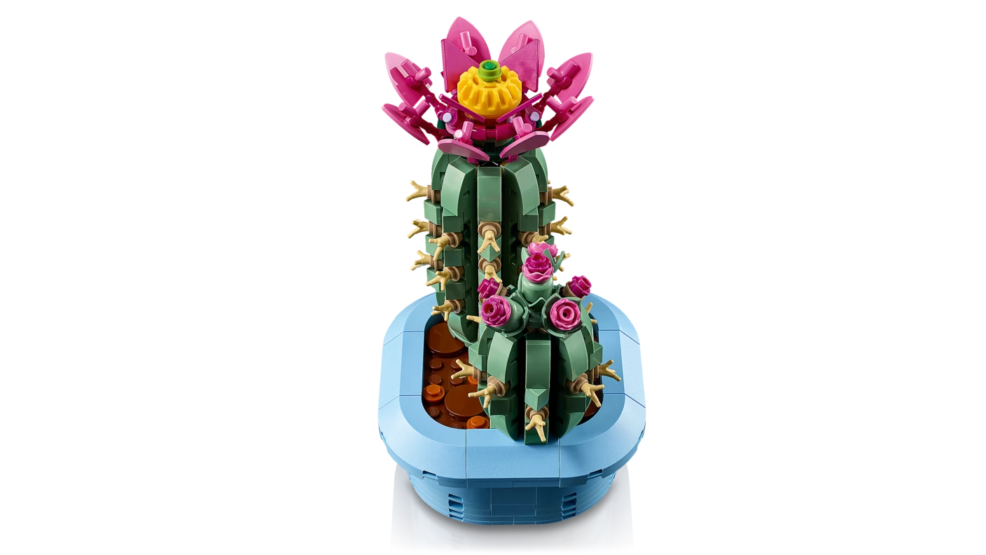 Bloeiende cactus
