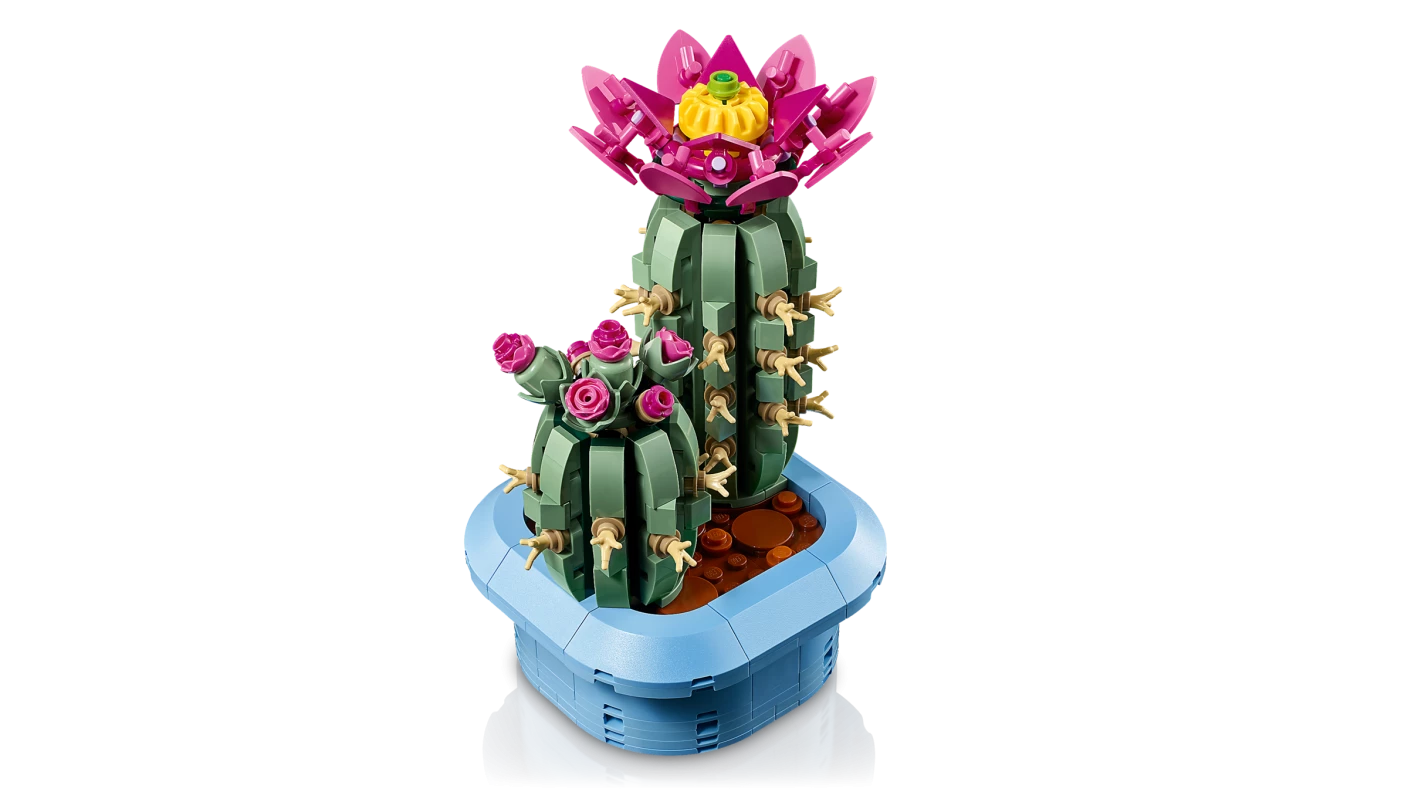 Bloeiende cactus
