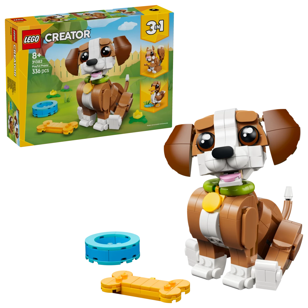 Schattige dieren: speelse puppy