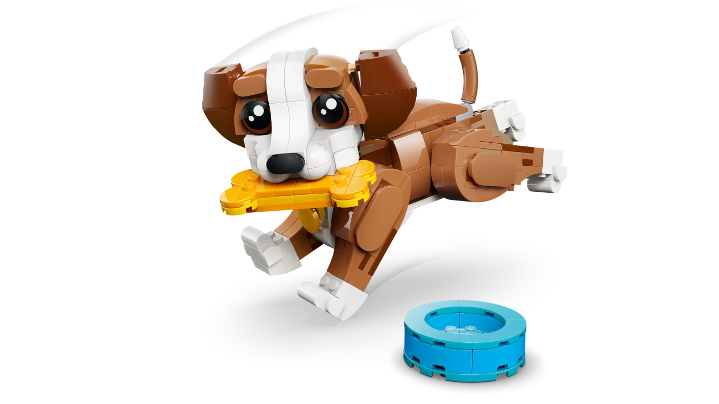 Schattige dieren: speelse puppy