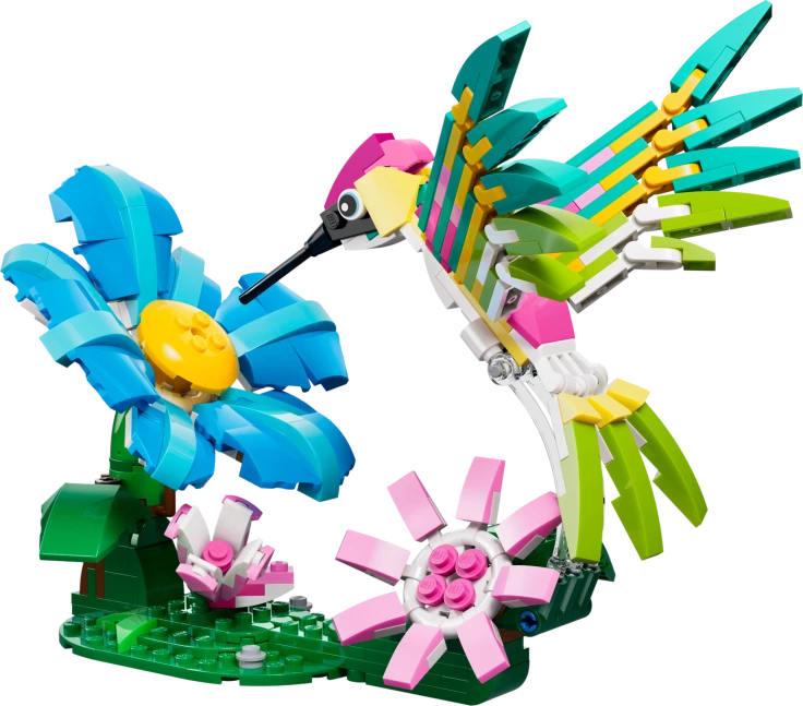 Wilde dieren: kleurrijke kolibrie