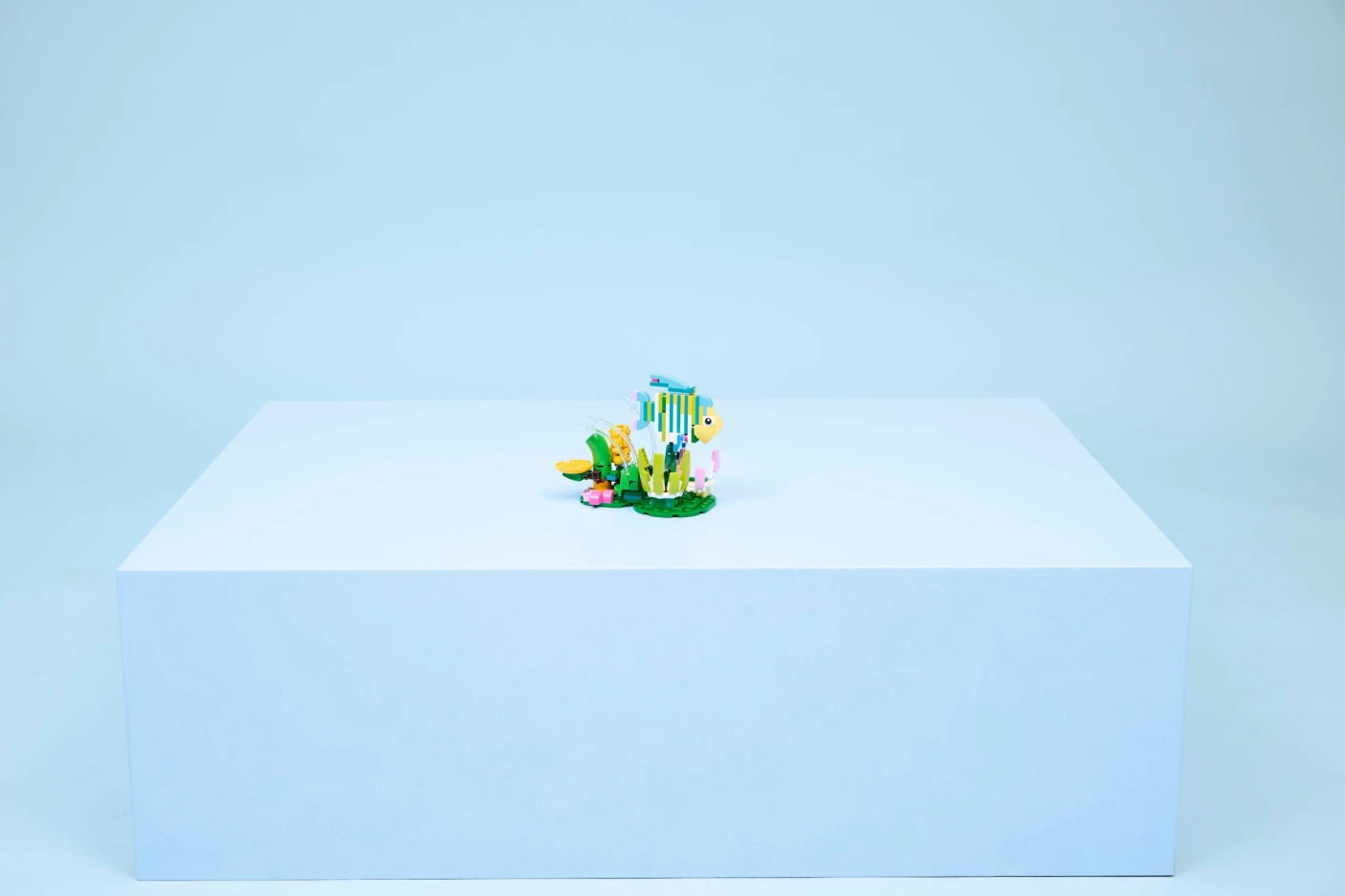 Wilde dieren: kleurrijke kolibrie