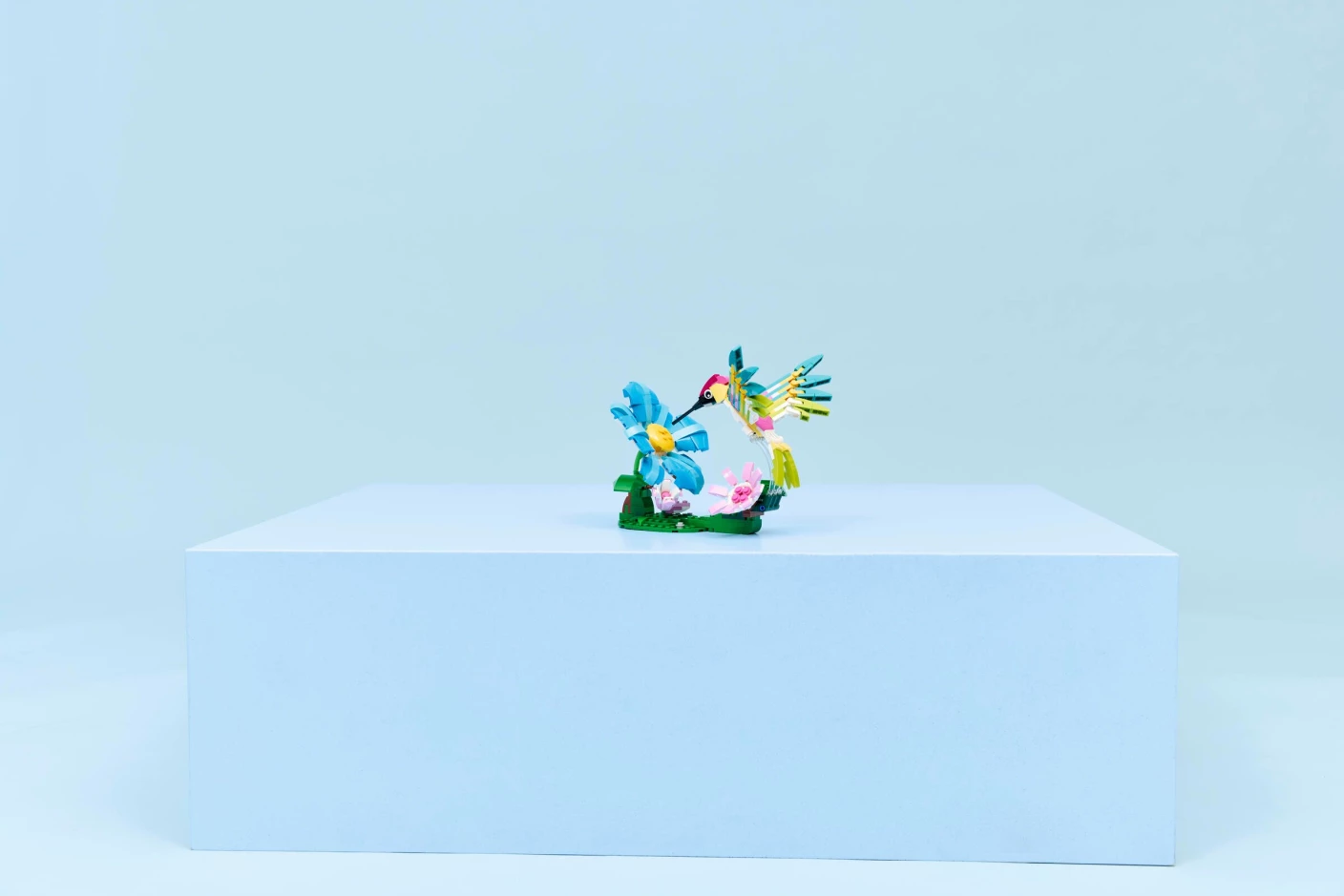 Wilde dieren: kleurrijke kolibrie