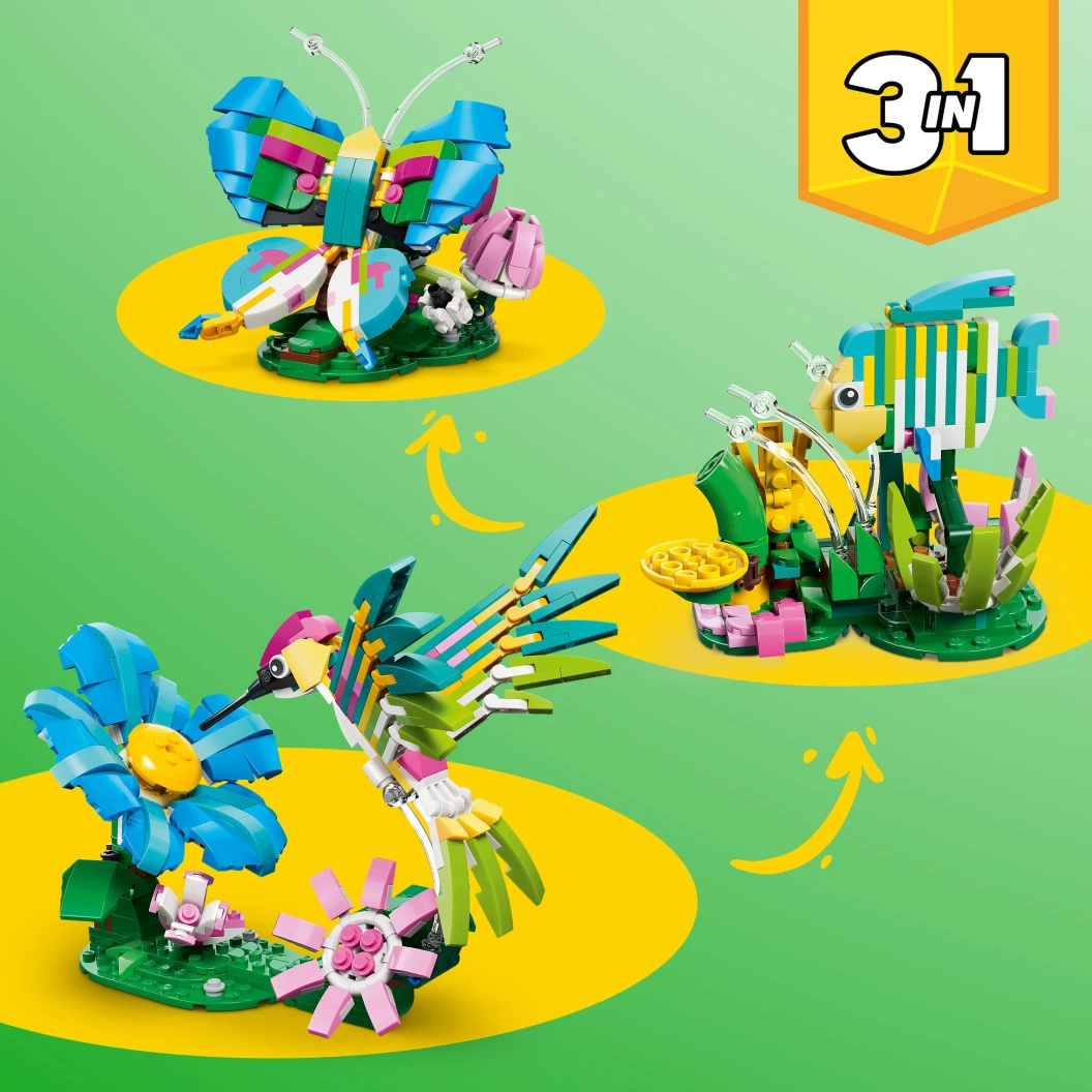 Wilde dieren: kleurrijke kolibrie