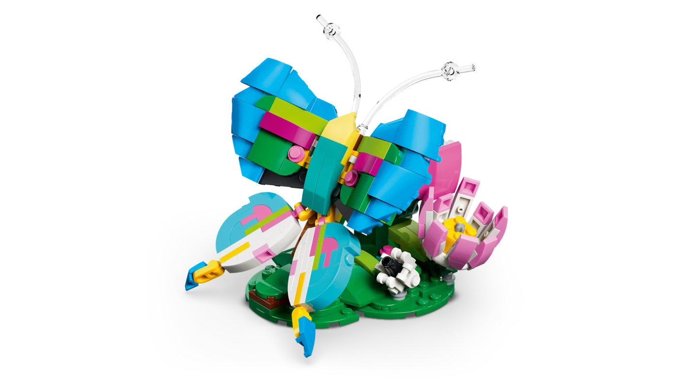 Wilde dieren: kleurrijke kolibrie