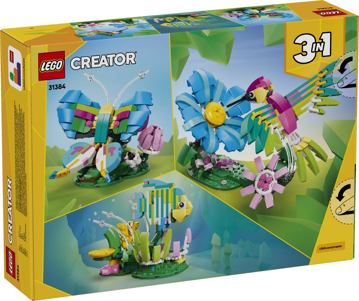 Wilde dieren: kleurrijke kolibrie