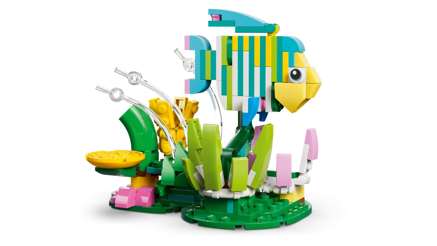 Wilde dieren: kleurrijke kolibrie