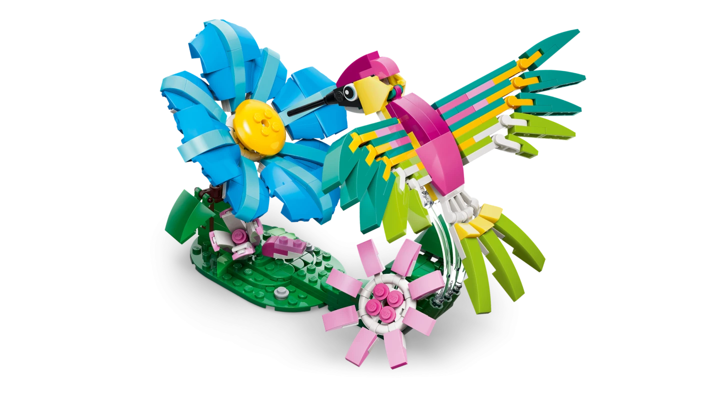 Wilde dieren: kleurrijke kolibrie