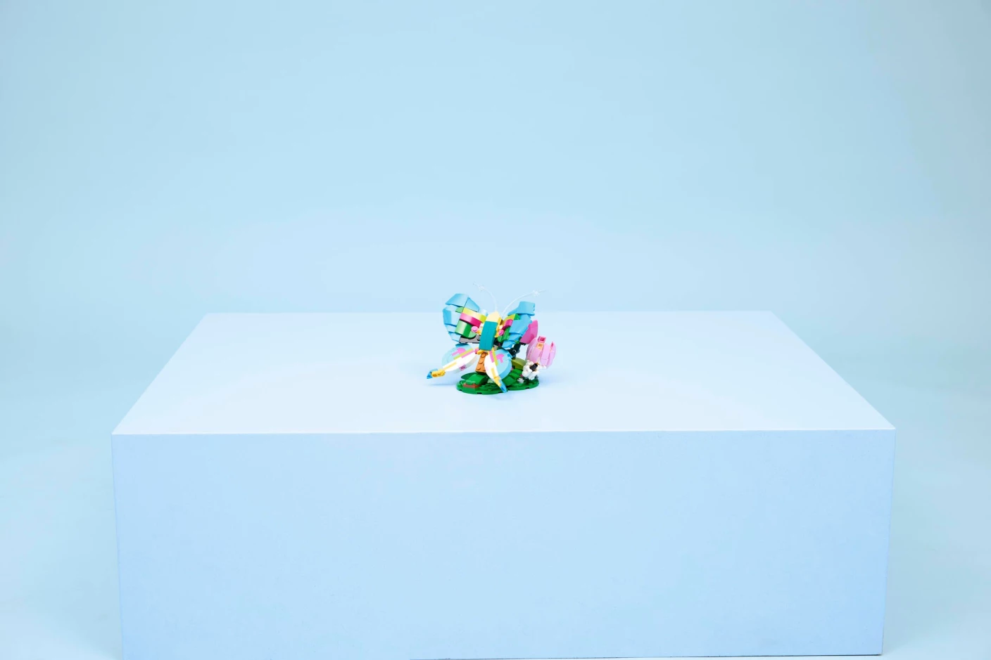 Wilde dieren: kleurrijke kolibrie