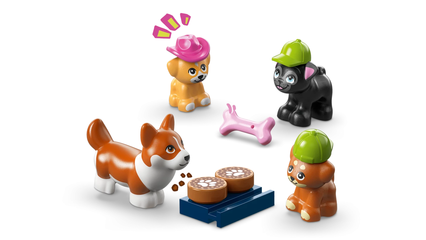 Bakkerij voor hondensnacks