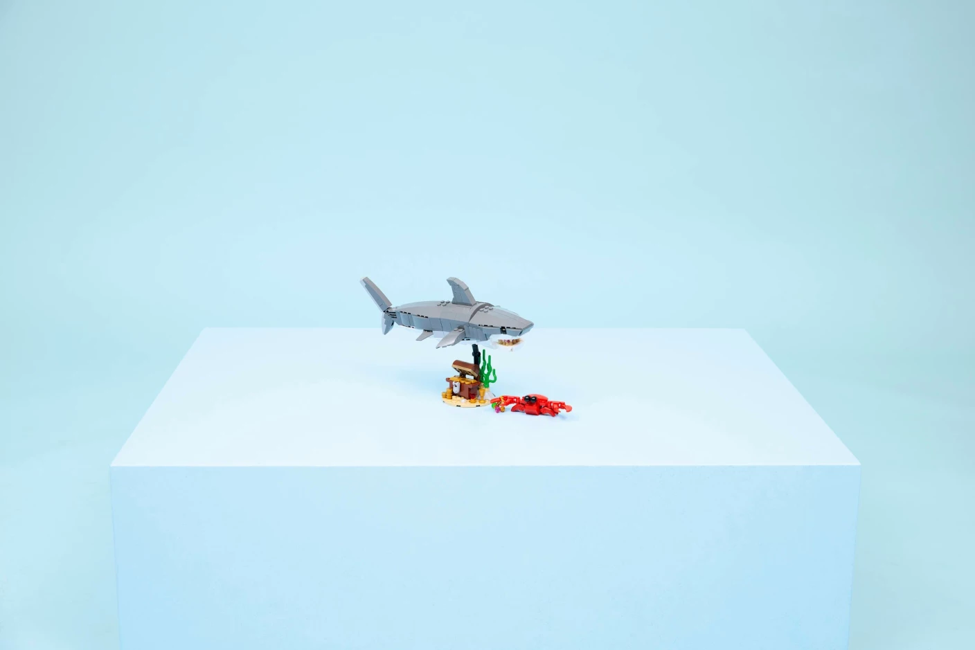 Woeste haai met schatkist